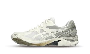 ASICS GT-2160 DIME Arctic Wolf
