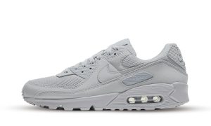 Nike Air Max 90 Recraft Wolf Grey
