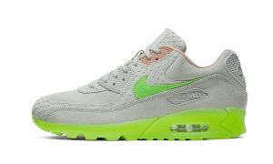 Nike Air Max 90 New Species