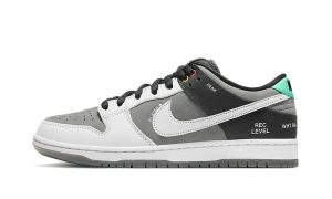 Nike SB Dunk Low VX1000 Camcorder