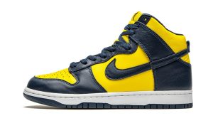 Nike Dunk High Michigan (2020)