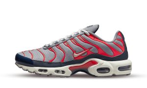 Nike Air Max Plus USA Grey