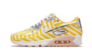 Nike Air Max 90 Fried Chicken