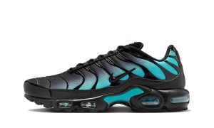 Nike Air Max Plus Black Dusty Cactus