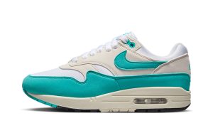 Nike Air Max 1 'Dusty Cactus' (W)