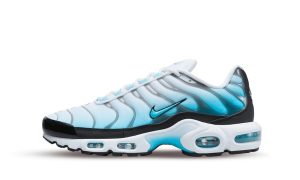 Nike Air Max Plus Baltic Blue