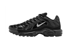 Nike Air Max Plus Black Chrome