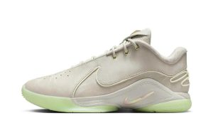 Nike LeBron 22 Dunkman