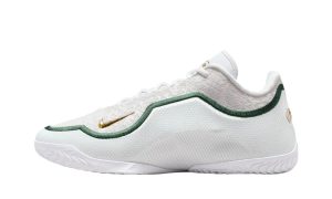 Nike LeBron 23 From This Point Forward