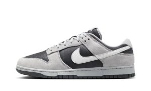 Nike Dunk Low Light Smoke Grey Anthracite