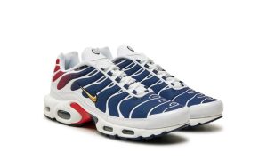 Nike Air Max Plus PSG - Imagen 3